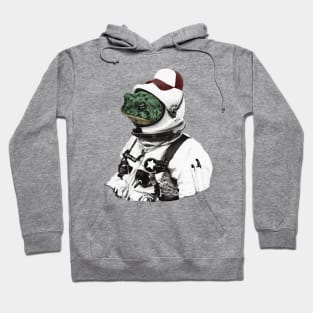 Slippy Toad Hoodie